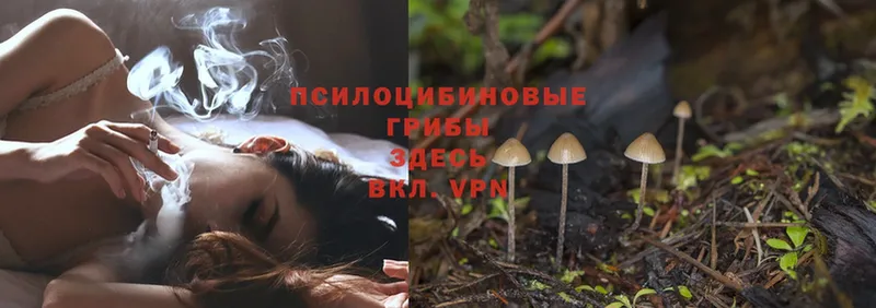 Галлюциногенные грибы MAGIC MUSHROOMS  Заозёрск 